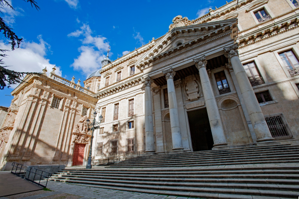 El Palacio Anaya: Historia Académica